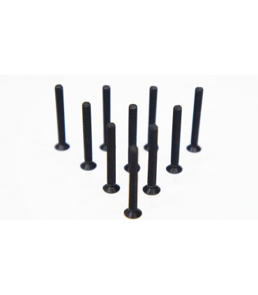 TORNILLO CABEZA EMBUTIDA 3.0 X 25MM (10)