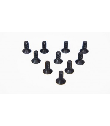 -LIQUIDACION- TORNILLO CABEZA EMBUTIDA 4.0 X 10MM (10)