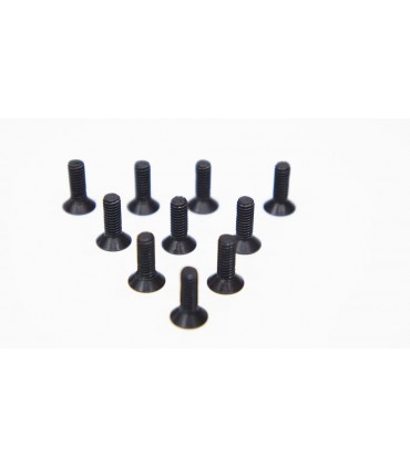 TORNILLO CABEZA EMBUTIDA 4.0 X 12MM (10)