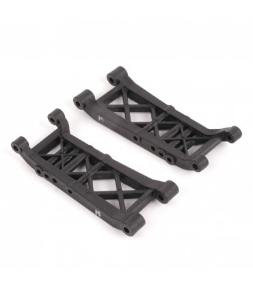 -LIQUIDACION- WISHBONES  REAR KIT - COUGAR SV2