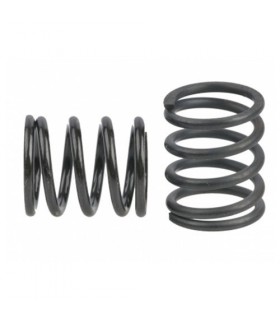 MUELLE DEL. 1.9mm BLACK OPC. (2u.)MRX-5/6/6R/6X MUGEN