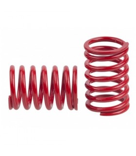 MUELLE TRAS. 2.0 mm RED OPC.(2u.)MRX-5/6/6R/6X MUGEN