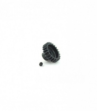 PIÑON MODULO 1 1/8 23T