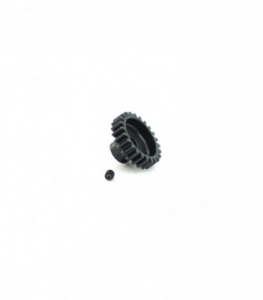 PIÑON MODULO 1 1/8 24T