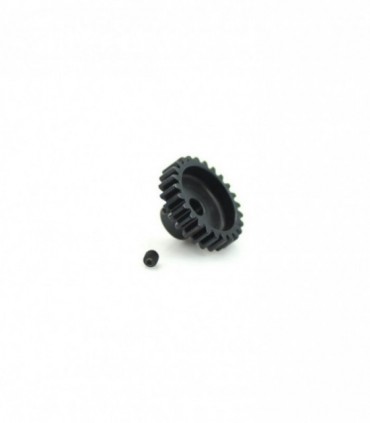 PIÑON MODULO 1 1/8 25T
