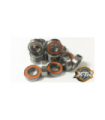 SET RODAMIENTOS PARA E819
