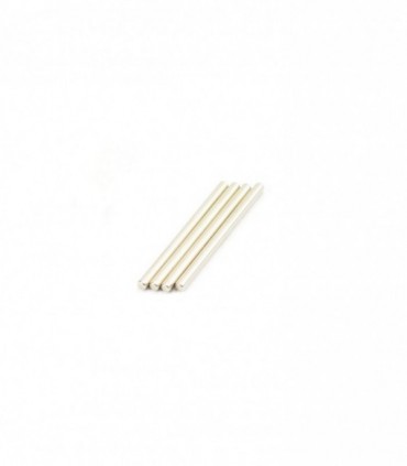 Ishima - Rear Lower Suspension Hinge Pins 2.5*37.6mm  4 pcs